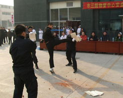 石家庄保安服务 筑牢安全防线，守护城市安宁